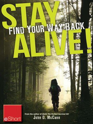 cover image of Stay Alive--Find Your Way Back eShort